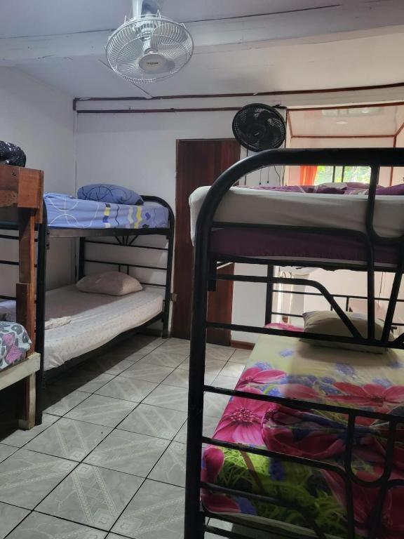 Downtown Montezuma Hostel Zewnętrze zdjęcie